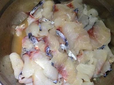 龍魚飼料推薦配方表圖片：龍魚飼料推薦配方表，助力龍魚健康成長與絢麗發色