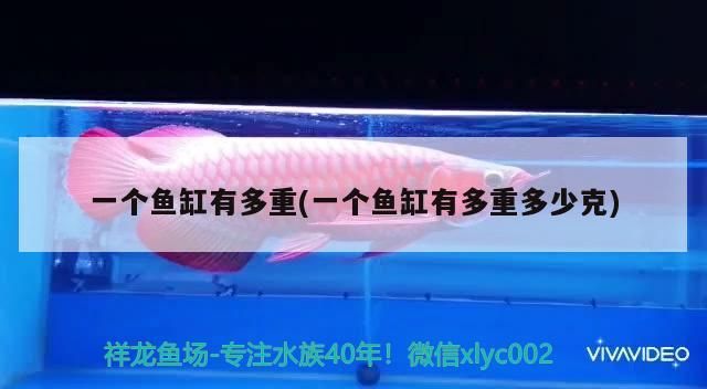 一個魚缸有多重(一個魚缸有多重多少克)
