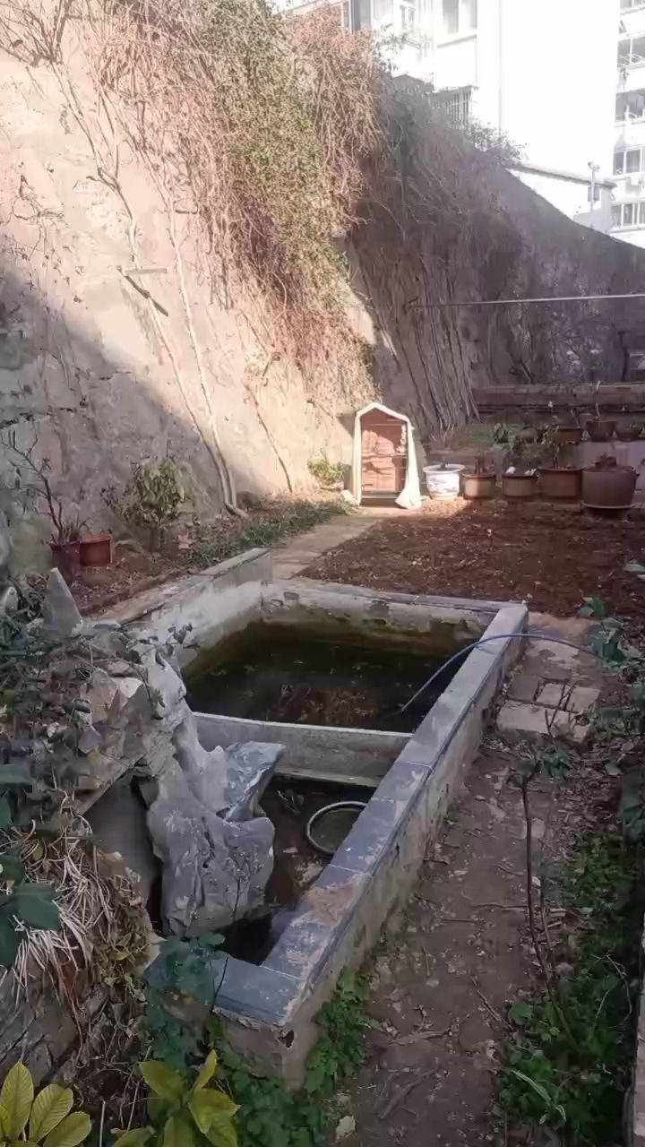拿出來曬太陽