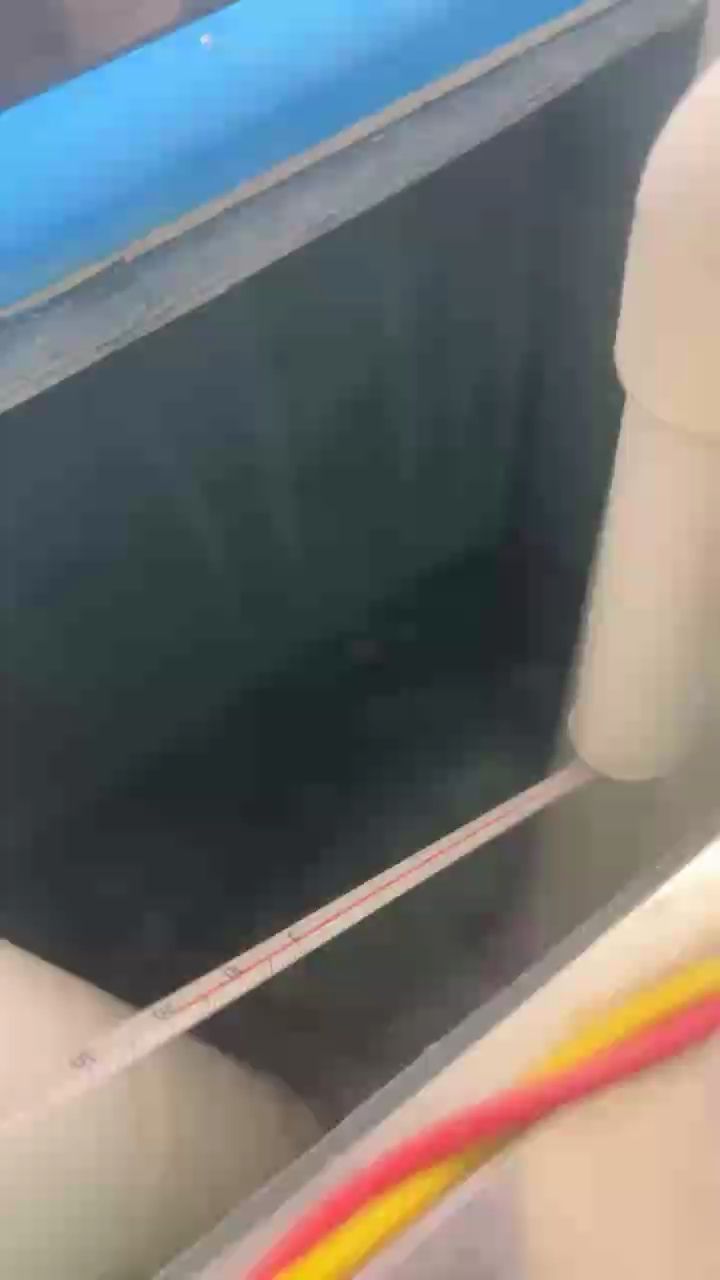 迎難而上 迎難而上 龍魚論壇