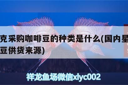 星巴克采購咖啡豆的種類是什么(國內星巴克咖啡豆供貨來源) 星巴克采購咖啡豆的種類是什么(國內星巴克咖啡豆供貨來源) 馬來西亞咖啡