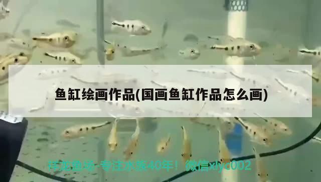 泰安魚缸定制電話多少?,泰安魚缸定制電話多少和泰安魚缸定制電話多少號對應(yīng)的信息 九鼎魚缸 第2張 泰安魚缸定制電話多少?,泰安魚缸定制電話多少和泰安魚缸定制電話多少號對應(yīng)的信息 泰安魚缸定制電話多少?,泰安魚缸定制電話多少和泰安魚缸定制電話多少號對應(yīng)的信息 九鼎魚缸 第2張