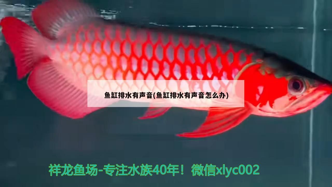 泰安魚缸定制電話多少?,泰安魚缸定制電話多少和泰安魚缸定制電話多少號對應(yīng)的信息 九鼎魚缸 第3張 泰安魚缸定制電話多少?,泰安魚缸定制電話多少和泰安魚缸定制電話多少號對應(yīng)的信息 泰安魚缸定制電話多少?,泰安魚缸定制電話多少和泰安魚缸定制電話多少號對應(yīng)的信息 九鼎魚缸 第3張