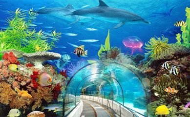 開個小型水族館成本（開一個小型水族館需要多少成本？）