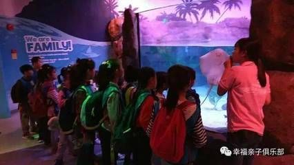 水族館的視頻：關于水族館視頻的網址