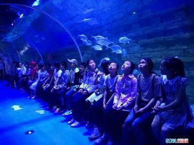 水族館的視頻：關于水族館視頻的網址