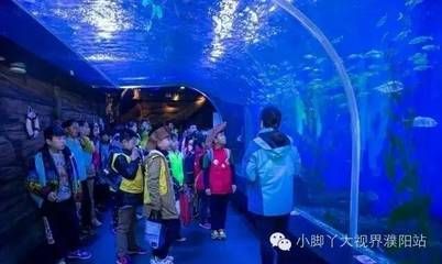 水族館的視頻：關于水族館視頻的網址