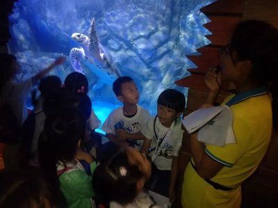 水族館的視頻：關于水族館視頻的網址
