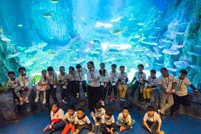 水族館的視頻：關于水族館視頻的網址