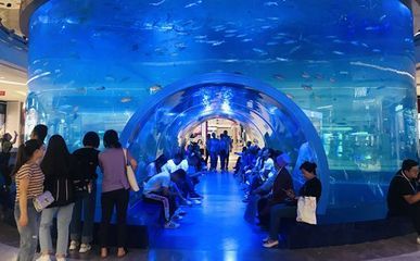 水族館適合開到哪里:水族館的開設地點應考慮多種因素包括目標受眾、地理位置 水族館百科(水族館加盟) 第1張 水族館適合開到哪里:水族館的開設地點應考慮多種因素包括目標受眾、地理位置 水族館適合開到哪里:水族館的開設地點應考慮多種因素包括目標受眾、地理位置 水族館百科(水族館加盟) 第1張