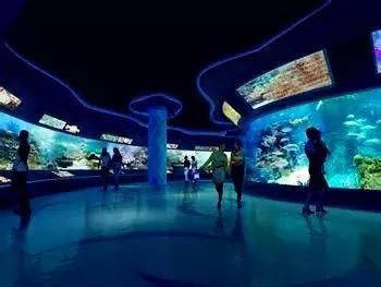 水族館適合開到哪里:水族館的開設地點應考慮多種因素包括目標受眾、地理位置 水族館百科(水族館加盟) 第2張 水族館適合開到哪里:水族館的開設地點應考慮多種因素包括目標受眾、地理位置 水族館適合開到哪里:水族館的開設地點應考慮多種因素包括目標受眾、地理位置 水族館百科(水族館加盟) 第2張