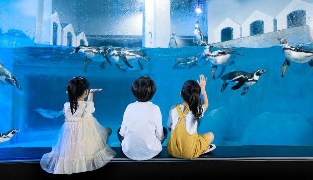 水族館適合開到哪里:水族館的開設地點應考慮多種因素包括目標受眾、地理位置 水族館百科(水族館加盟) 第4張 水族館適合開到哪里:水族館的開設地點應考慮多種因素包括目標受眾、地理位置 水族館適合開到哪里:水族館的開設地點應考慮多種因素包括目標受眾、地理位置 水族館百科(水族館加盟) 第4張