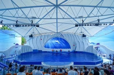 水族館適合開到哪里:水族館的開設地點應考慮多種因素包括目標受眾、地理位置 水族館百科(水族館加盟) 第5張 水族館適合開到哪里:水族館的開設地點應考慮多種因素包括目標受眾、地理位置 水族館適合開到哪里:水族館的開設地點應考慮多種因素包括目標受眾、地理位置 水族館百科(水族館加盟) 第5張