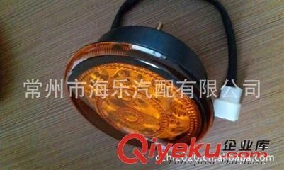 30公分金龍用什么燈：金龍魚在飼養過程中適合使用的光源為白光和黃光和黃光 30公分金龍用什么燈：金龍魚在飼養過程中適合使用的光源為白光和黃光和黃光 魚缸百科 第1張