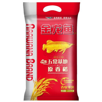魚缸需要過濾嗎（魚缸需要過濾嗎視頻）