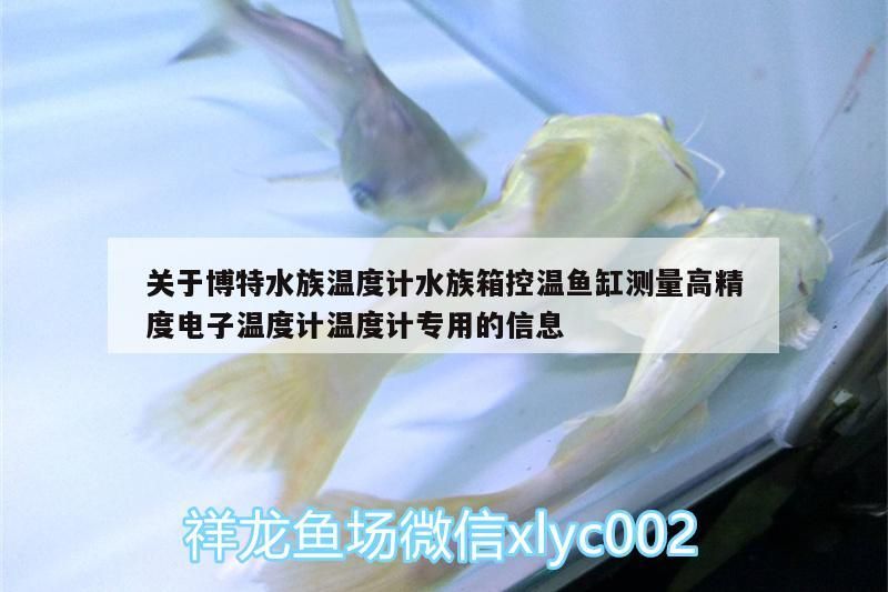 關于博特水族溫度計水族箱控溫魚缸測量高精度電子溫度計溫度計專用的信息