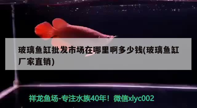 玻璃魚缸批發市場在哪里啊多少錢(玻璃魚缸廠家直銷)