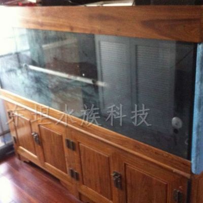 龍魚缸多久清洗缸壁一次，龍魚缸多久清洗一次