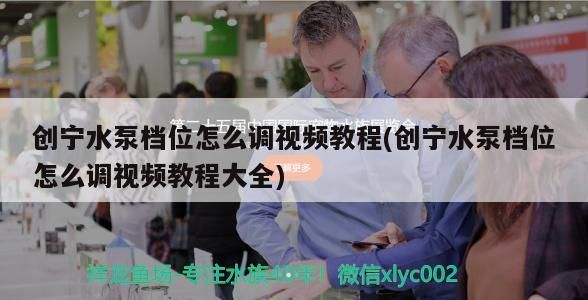 創寧水泵檔位怎么調視頻教程(創寧水泵檔位怎么調視頻教程大全)