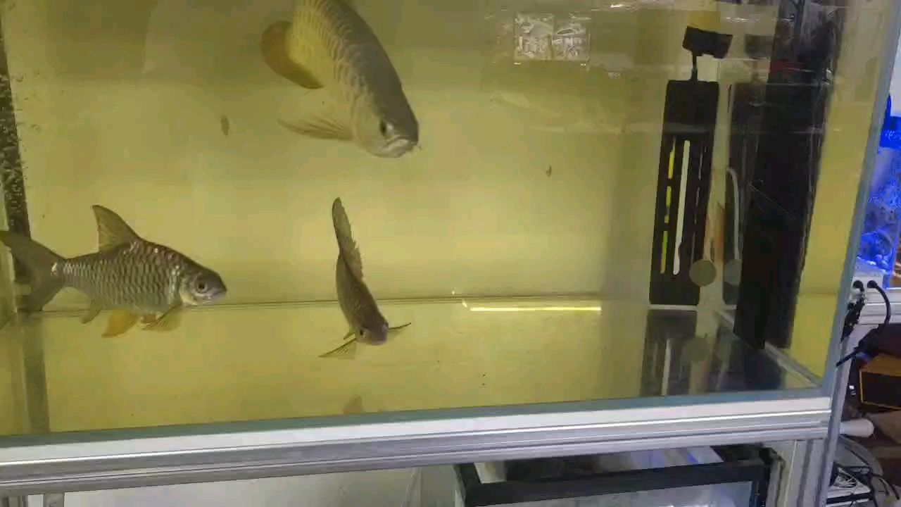 簽到 任務(wù)完成