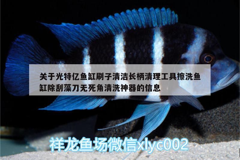 關于光特億魚缸刷子清潔長柄清理工具擦洗魚缸除刮藻刀無死角清洗神器的信息