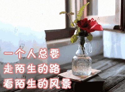 龍魚生活水溫多少度：龍魚生活水溫，維系靈動生命的微妙平衡