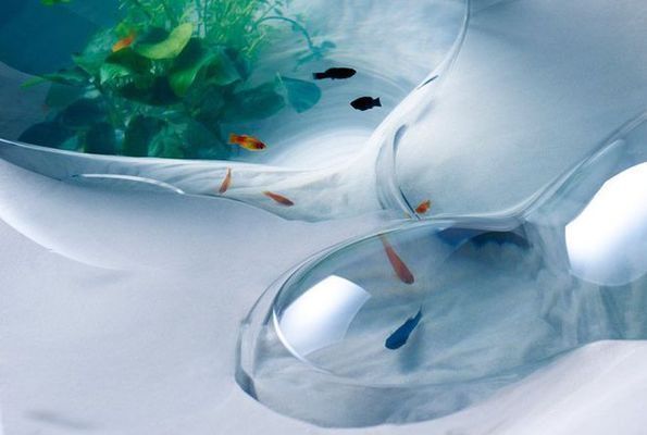 水族館魚缸設計（水族館魚缸的設計） 水族館魚缸設計（水族館魚缸的設計） 水族館百科（水族館加盟） 第1張