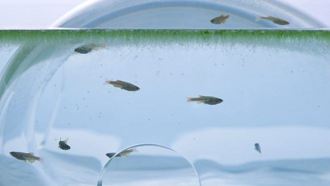 水族館魚缸設計（水族館魚缸的設計） 水族館魚缸設計（水族館魚缸的設計） 水族館百科（水族館加盟） 第3張