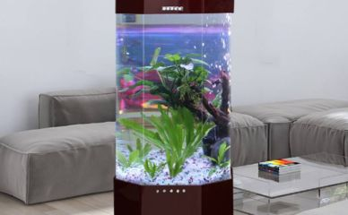 博特魚缸換水時間多久合適:博特魚缸換水時間多久合適博特魚缸換水時間多久合適 博特水族 第2張 博特魚缸換水時間多久合適:博特魚缸換水時間多久合適博特魚缸換水時間多久合適 博特魚缸換水時間多久合適:博特魚缸換水時間多久合適博特魚缸換水時間多久合適 博特水族 第2張