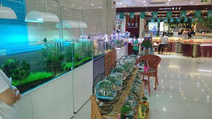 水族館加盟找祥龍魚場（祥龍魚場加盟條件詳解）