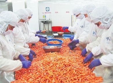 龍魚身上長白毛是什么病圖片大全：龍魚身上長白毛之謎，病癥解析與應對策略