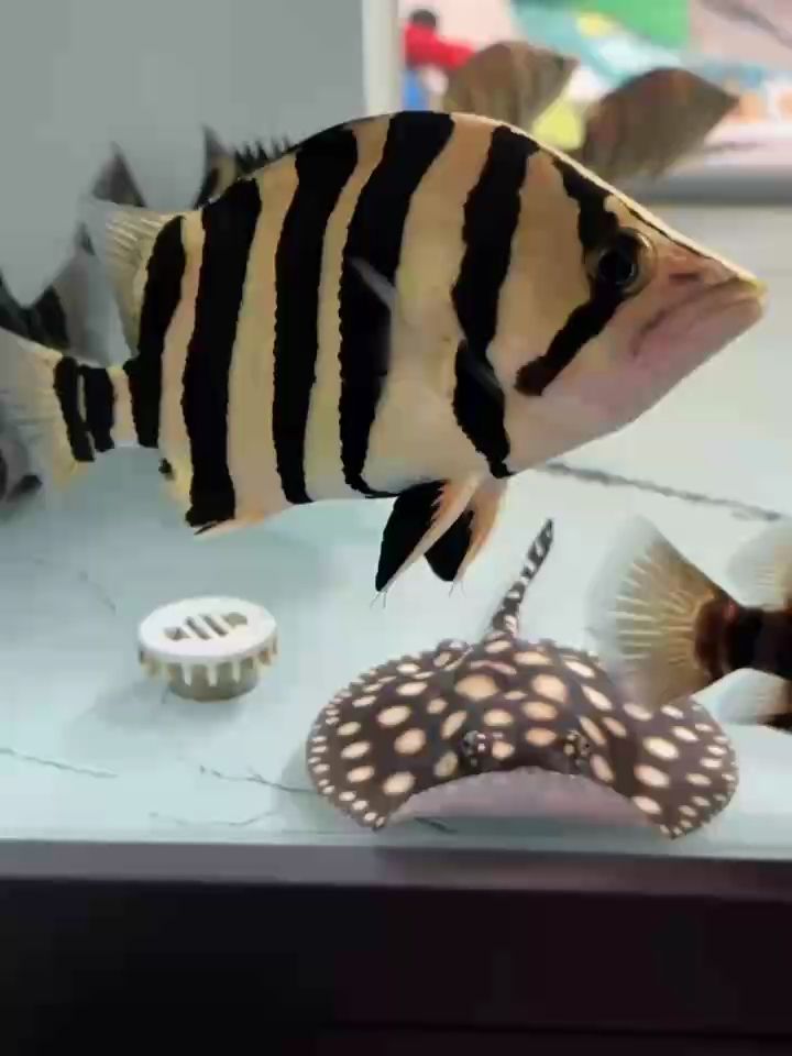 狀態都是養出來的