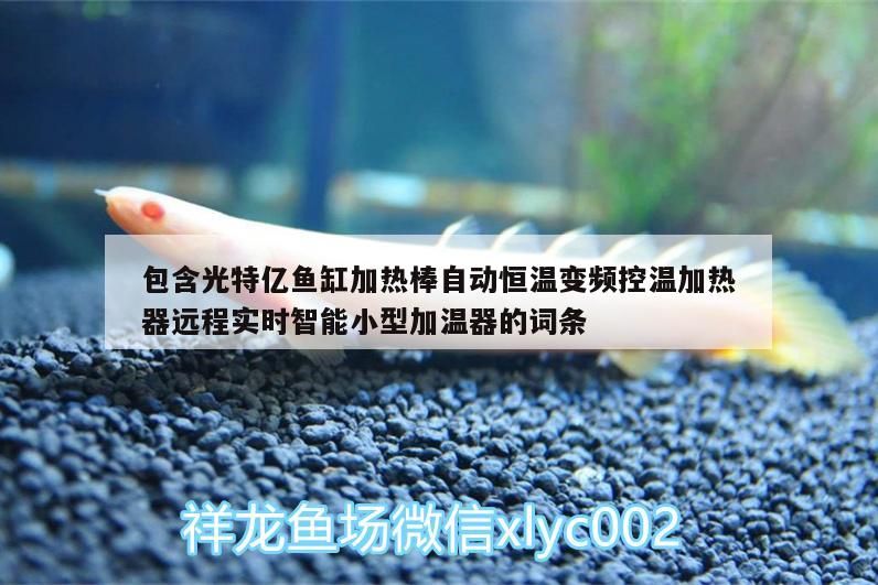 包含光特億魚缸加熱棒自動恒溫變頻控溫加熱器遠程實時智能小型加溫器的詞條