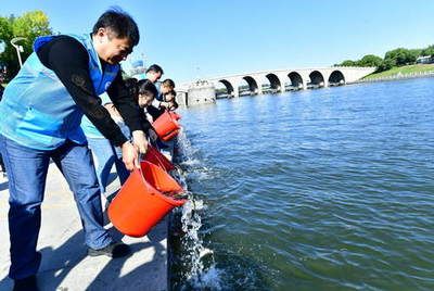 龍魚身上有白色的是什么東西?龍魚身上白色凸起之謎，探尋背后原因與解決方案