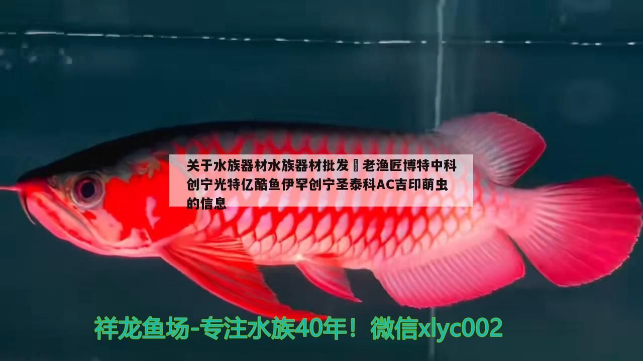 關于水族器材水族器材批發?老漁匠博特中科創寧光特億酷魚伊罕創寧圣泰科AC吉印萌蟲的信息