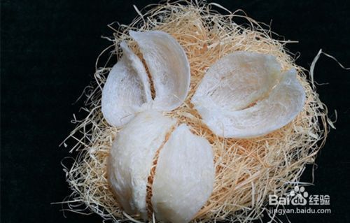 龍魚(yú)如何養(yǎng)新手入門(mén)教程：龍魚(yú)養(yǎng)殖新手入門(mén)全攻略，開(kāi)啟水族新世界