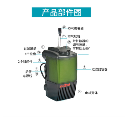 龍魚如何分公母圖鑒視頻：龍魚性別辨識，公母圖鑒全解析