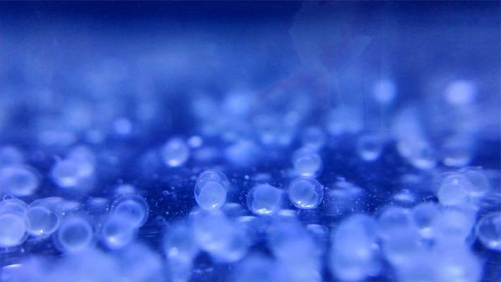龍魚欺負別的魚嗎視頻：龍魚，水中霸主的誤解與真相