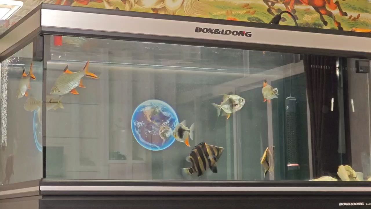 瞅瞅給你笨的