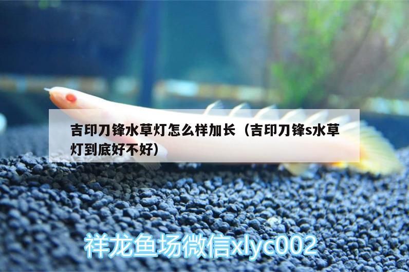 吉印刀鋒水草燈怎么樣加長(zhǎng)（吉印刀鋒s水草燈到底好不好）