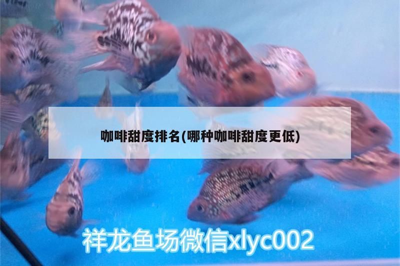 咖啡甜度排名(哪種咖啡甜度更低)