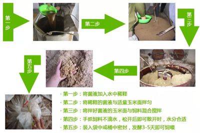 龍魚趴在缸底不動怎么回事視頻講解：龍魚趴在缸底不動？別慌，這些原因和對策全解析！