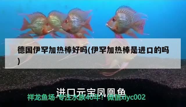 德國伊罕加熱棒好嗎(伊罕加熱棒是進(jìn)口的嗎)