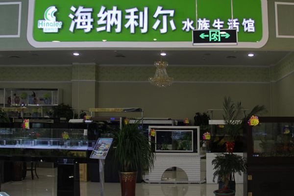 水族館加盟店有哪些品牌名稱和價格：水族館加盟品牌市場分析