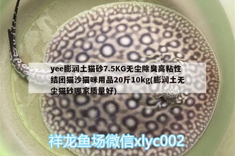 yee膨潤土貓砂7.5KG無塵除臭高粘性結(jié)團(tuán)貓沙貓咪用品20斤10kg(膨潤土無塵貓砂哪家質(zhì)量好)