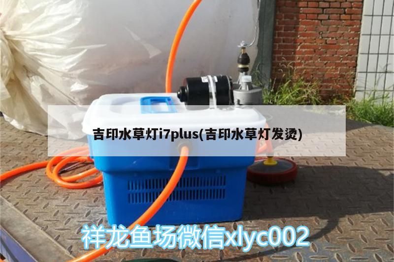 吉印水草燈i7plus(吉印水草燈發燙)