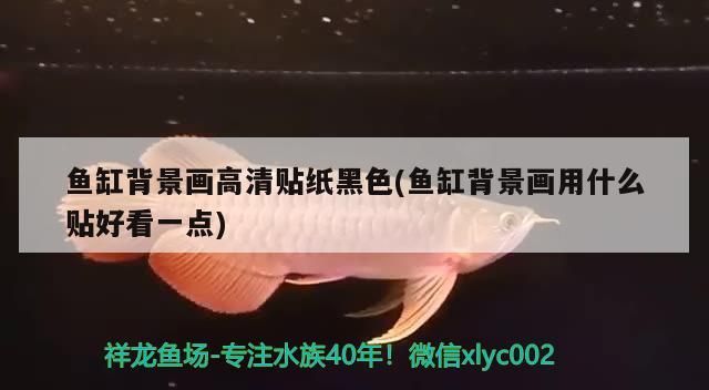 魚缸背景畫高清貼紙黑色(魚缸背景畫用什么貼好看一點)