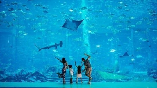 海南水族館在哪里（三亞佳寶水族館）