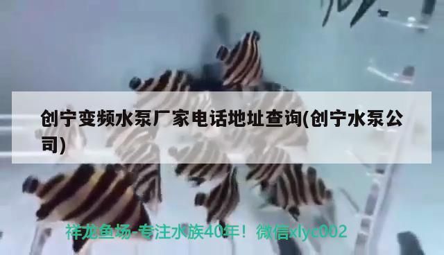 創寧變頻水泵廠家電話地址查詢(創寧水泵公司)