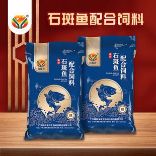 龍魚苗怎么開口快些呢：龍魚苗快速開口技巧全攻略